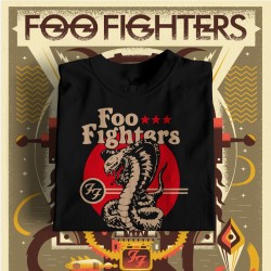 Foo Fighters _ dragon